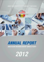 Annual Report 2012