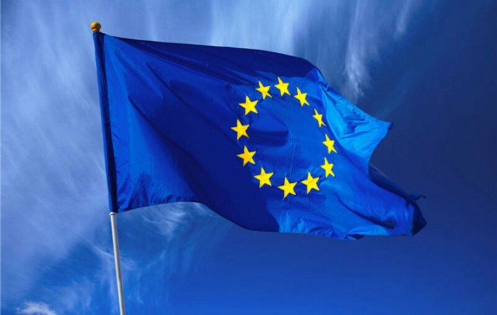 Briefing on the 2024 EU Elections: Projections, ...