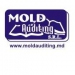 Moldauditing 