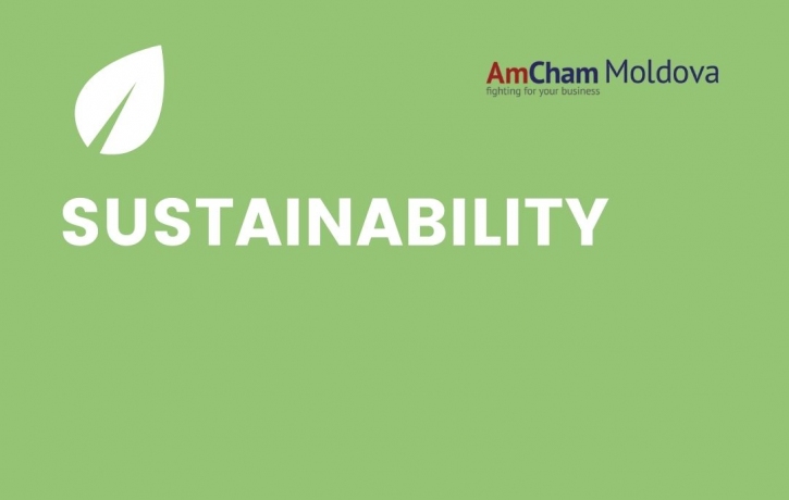Sustainability Committee Launching