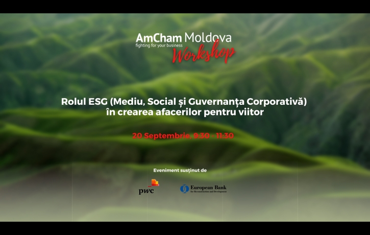 Rolul ESG (Mediu, Social și Guvernanța ...