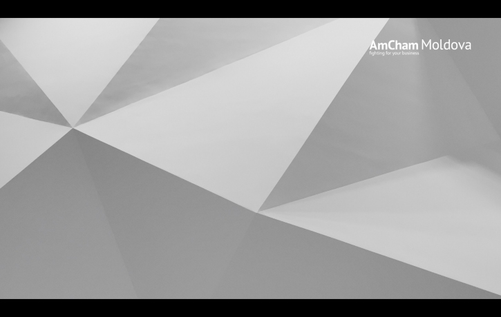 Meeting with Mircea Esanu, the Head of Public ...