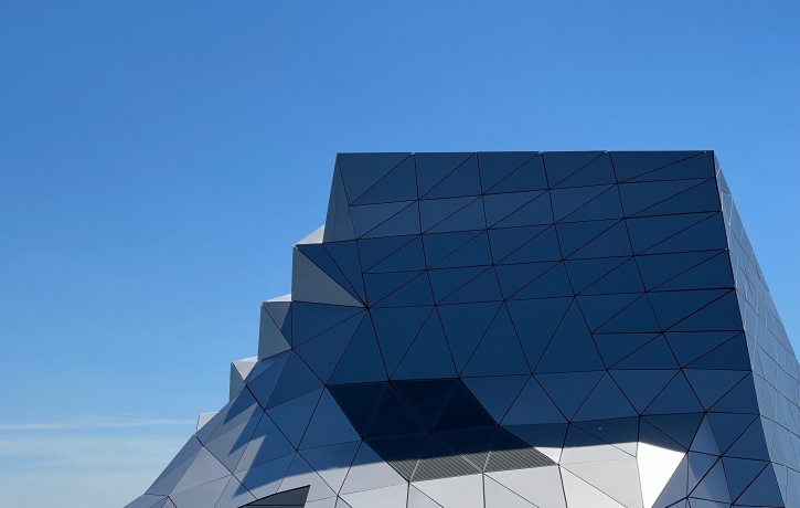 Mecanisme instituționale de protecție și ...